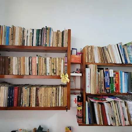 Проживание в семье Mira'S Room