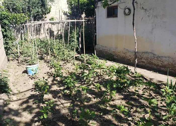 Kwatera prywatna Private On A Shared Near